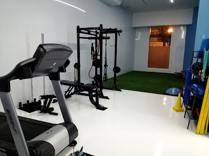 Entrenador personal GOTI Readaptación y Entrenamiento - Bilbao