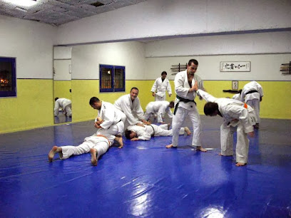 Escuela de artes marciales Budo Shin Escola D'arts Marcials Tradicionals Tarragona