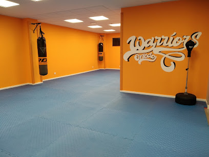 Escuela de artes marciales Warrior Oviedo