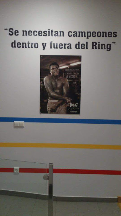 Escuela de boxeo Sanpar Box - Gijón