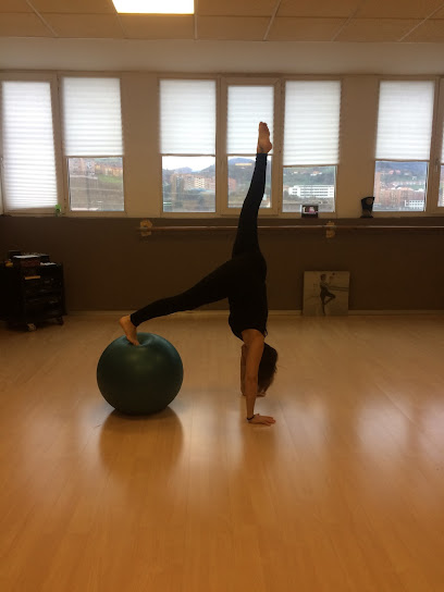 Gimnasio C21 - Bilbao