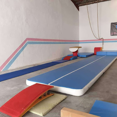Gimnasio Club Gimnasia Omnia Gym - Palma