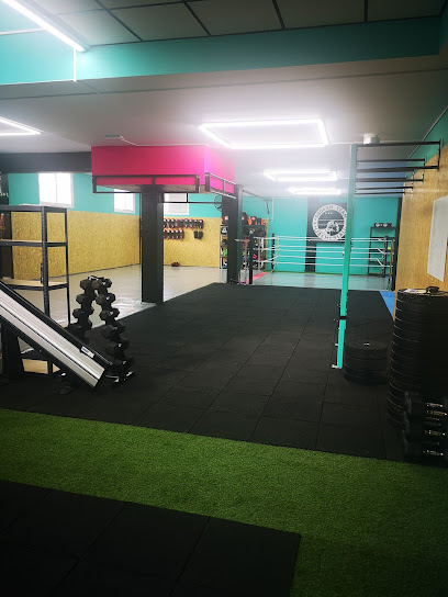 Gimnasio de boxeo Muay Thai Shogun Training System - Almería