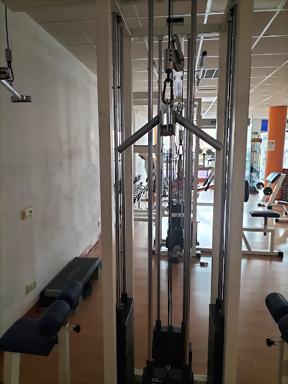Gimnasio Pedregal Colloto