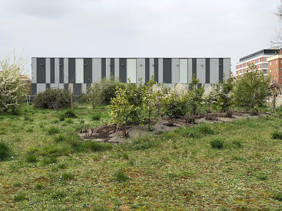 Gimnasio VivaGym Padeleku - Vitoria-Gasteiz