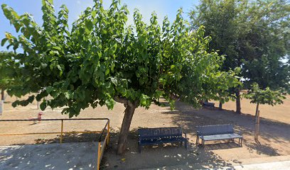 Parque calistenia - La Canonja