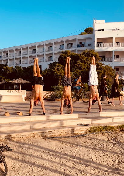 Programa de acondicionamiento físico Calisthenics bars - San Antonio Abad