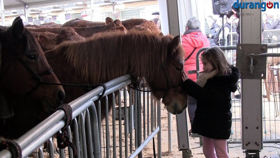 Entrenador personal Julen Coach - Abadiño